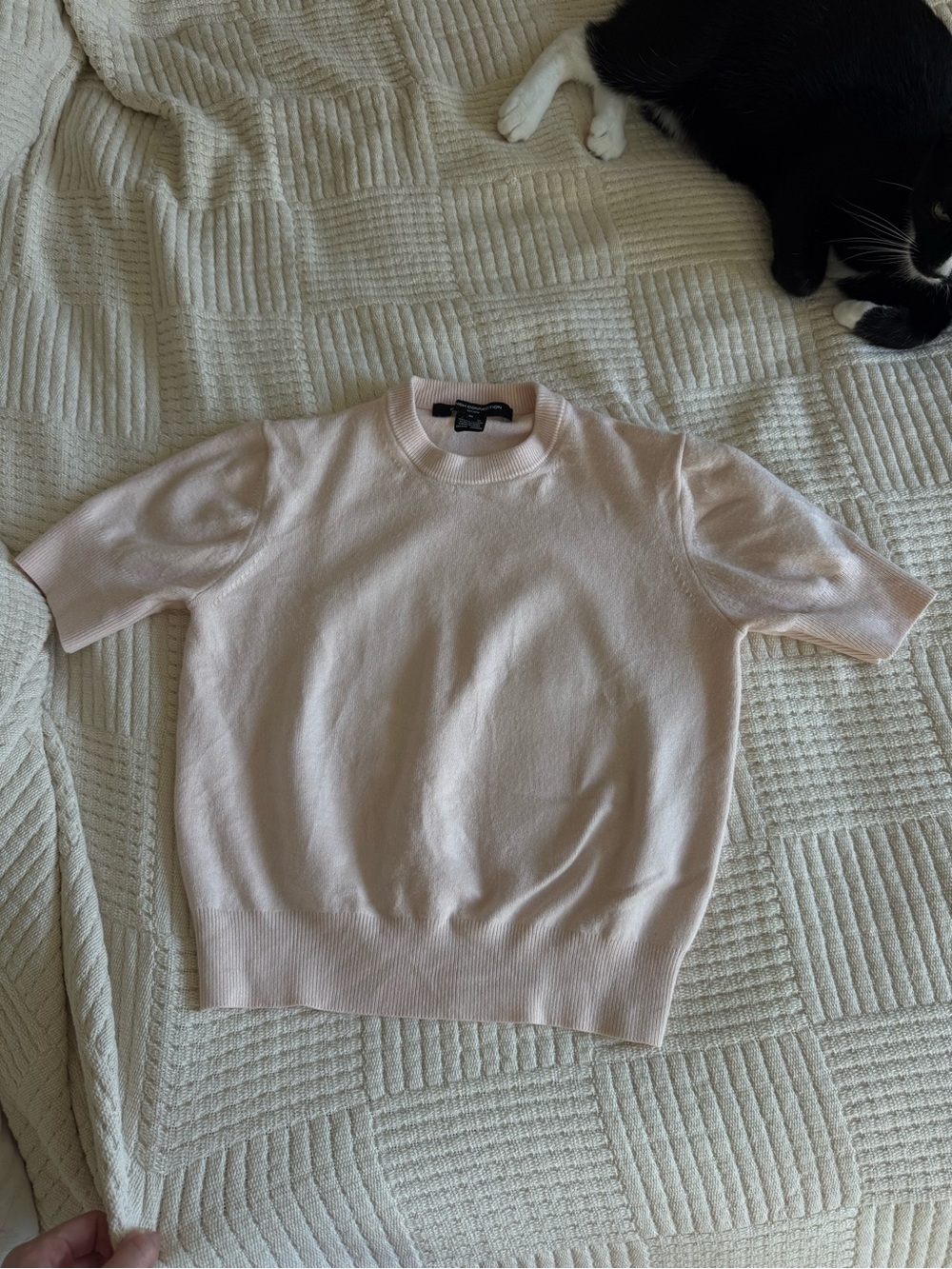 French Connection Pale Pink Short Sleeve Knit Top